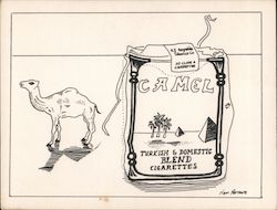 Camel Turkish & Domestic Blend Cigarettes Ken Brown