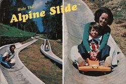 Pico Alpine Slide Postcard