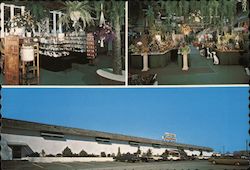 Patchogue Floral's Fantasyland Postcard