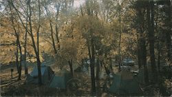 Stock #925756 Thumbnail