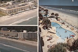 Swamp Fox Motor Inn Postcard