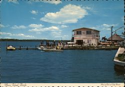 Water View Postcard
