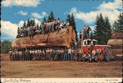 Giant Fir Log Washington Postcard Postcard 