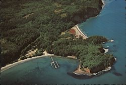 Agate & Crescent Beaches, Olympic Peninsula Port Angeles, WA Postcard Postcard Postcard