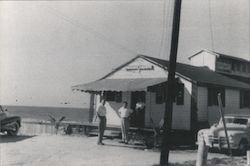 Sandbar Seafood and Spirits Anna Maria Island, FL Postcard Postcard Postcard