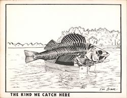 The Kind We Catch Here - A giant skeletal fish is in a boat with a fisherman Postcard