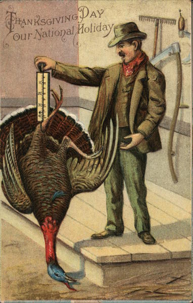 Thanksgiving Day Our National Holiday Turkeys