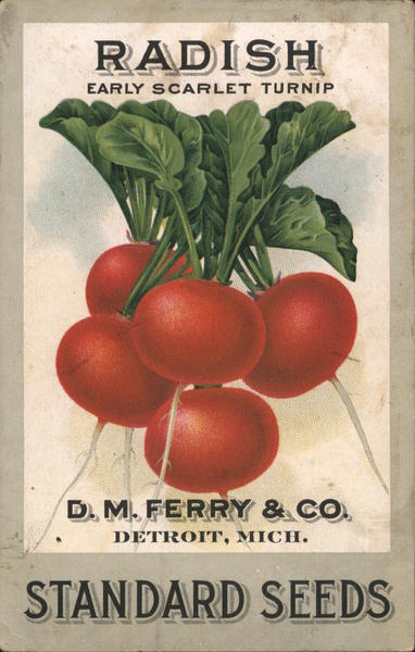 Radish Seeds, D.M. Ferry & Co. Detroit Michigan Advertising
