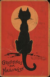 Greetings for Halloween Black Cat Postcard