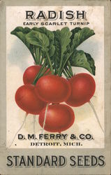 Radish Seeds, D.M. Ferry & Co. Postcard
