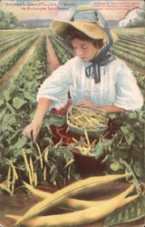 Growing Buckbees Full of Life Beans on Rockford Seed Farms Postcard