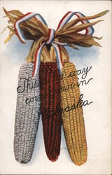 This is the way corn grows in Nebraska Postcard