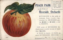 Riverside Land and Irrigation Co. - Peach Park Postcard