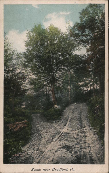 Scenic View Near Bradford Pennsylvania