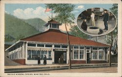 Navajo Mineral Spring Postcard