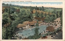 The Plunge, Genesha Park Postcard