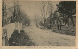 R. R. Ave Looking West Centre Valley, PA Postcard Postcard Postcard