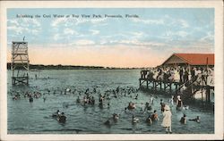 Splashing the Cool Water at Bay View Postcard