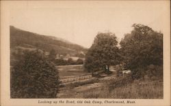 Looking up the Road, Old Oak Camp Charlemont, MA Postcard Postcard Postcard