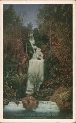 Huntington Falls at Golden Gate Park Postcard