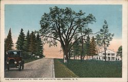 The Famous Lafayette Tree and Lafayette Inn Geneva, NY Postcard Postcard Postcard