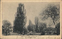 The Poplars Postcard