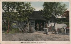 Beauty Spot Alexandria, PA Postcard Postcard Postcard