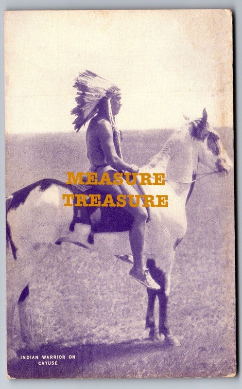 1925 DUKE KAHANAMOKU AS INDIAN WARRIOR, PONY EXPRESS FILM RARE ESCO Postcard Q6