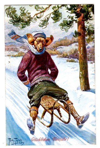 POSTCARD THIELE DOG DACHSHUND SLEDDING T.S.N. SERIES 1300