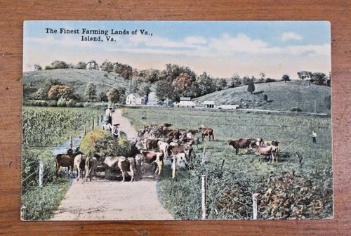 ANTIQUE POSTCARD ISLAND VIRGINIA FINEST FARMING LANDS W.E. BURGESS SCOTTSVILLE