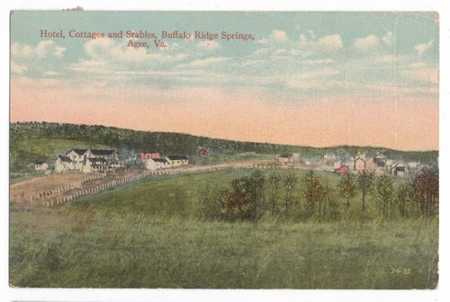 HOTEL, COTTAGES & STABLES, BUFFALO RIDGE SPRINGS AGEE, VA. W.E. BURGESS POSTCARD