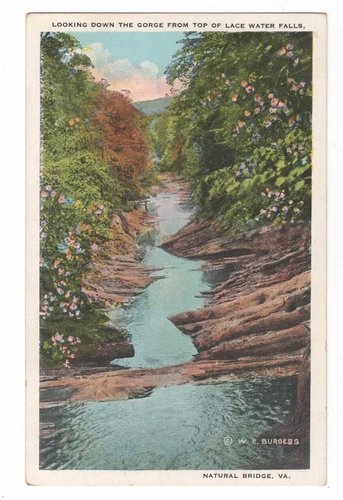 W.E. BURGESS POSTCARD LOOKING DOWN THE GORGE LACE WATERFALLS NATURAL BRIDGE, VA