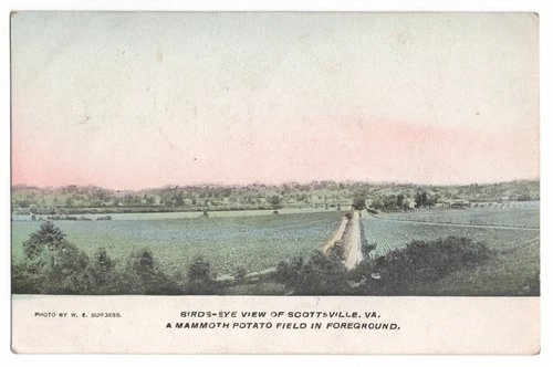BIRDS-EYE VIEW OF SCOTTSVILLE VA MAMMOTH POTATO FIELD FARM W.E. BURGESS POSTCARD