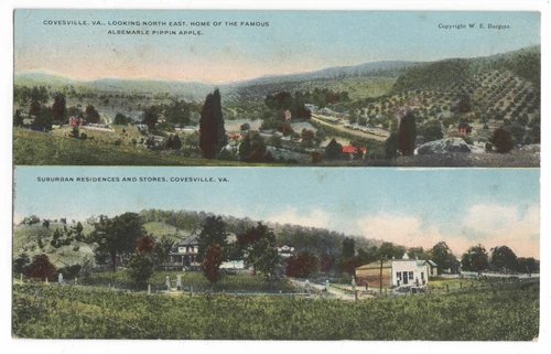 COVESVILLE, VA ALBEMARLE PIPPIN APPLE ORCHARDS W.E. BURGESS POSTCARD SPLIT VIEW