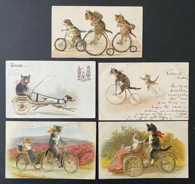 Vintage Cat Postcards (5) Anthropomorphic Cats on Bicycles, Carts