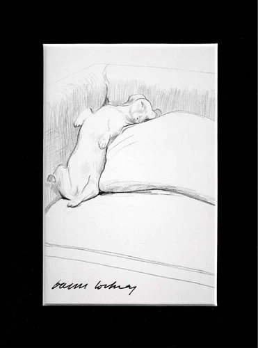 David Hockney Signed postcard Stanley and Boodge V