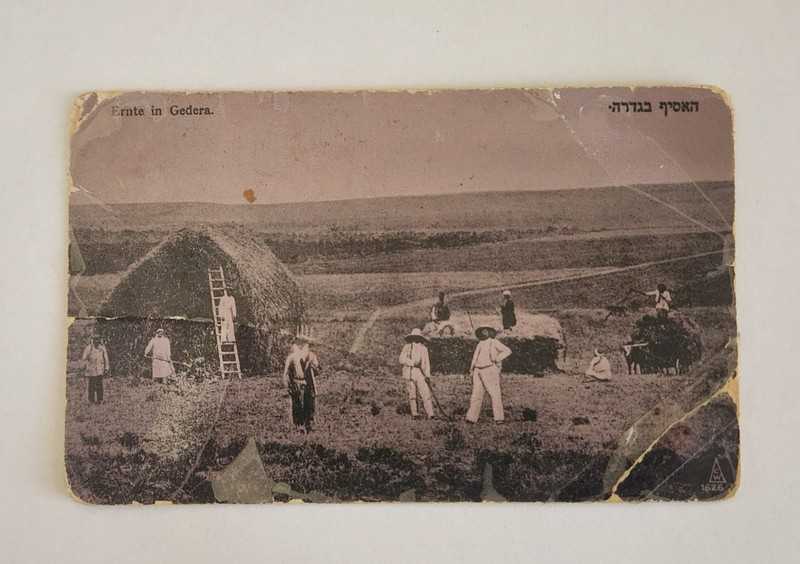 Postcard 1917 Landscape of the Land of Israel, Asif in Gedera