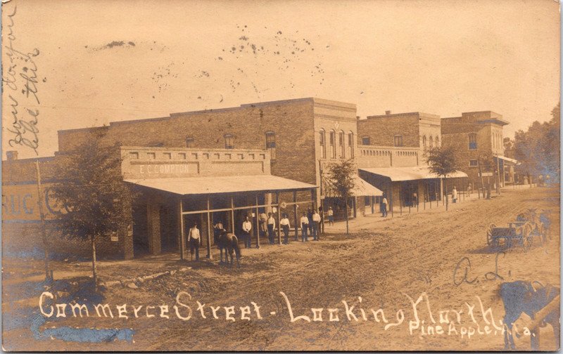 RPPC - PINE APPLE AL Commerce St. Looking North Shops Horses Postcard DB 1907