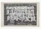 1907 Detroit Tigers "Detroit Club" H.M. Taylor baseball photo, postcard Ty Cobb