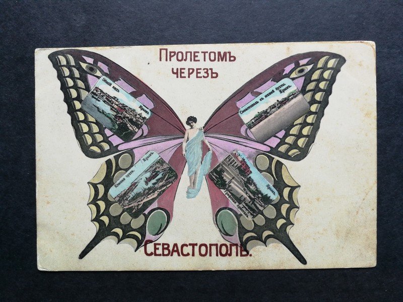 Russia old butterfly postcard of Sevastopol