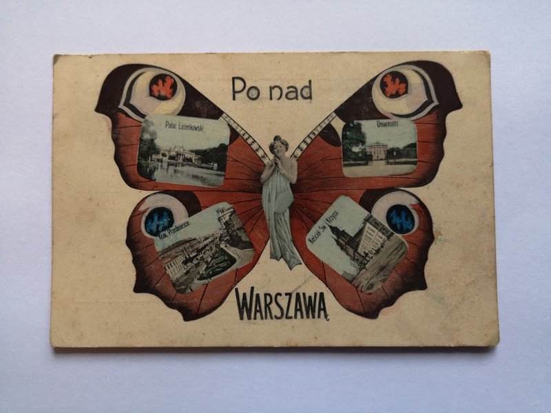 Poland ,old rare butterfly postcard of Warszawa