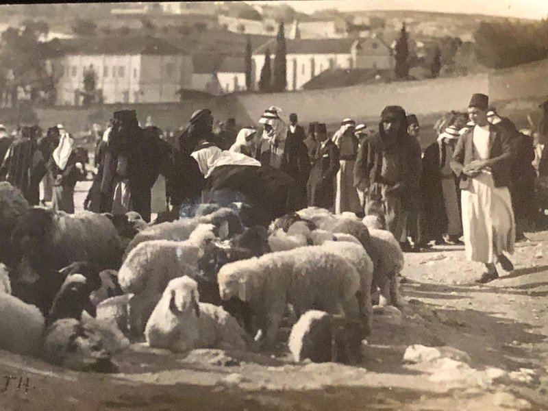 KARIMEH ABBUD NAZARETH PALESTINE ARAB PHOTOGRAPHER rare POSTCARD 1930