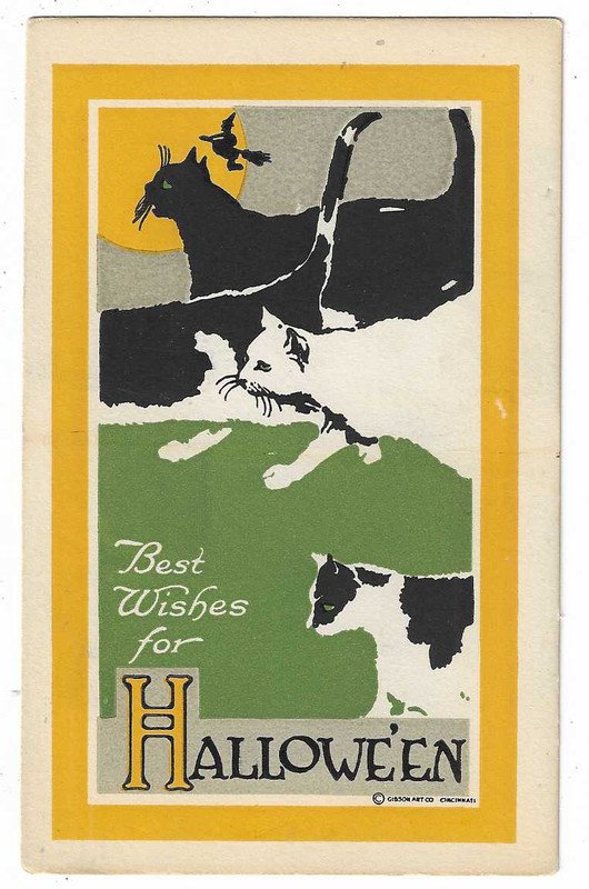 Gibson Art Co. Halloween Postcard Black and White Cats