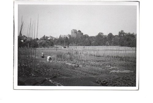 Postcard Alzenau private postcard Castle Mömbris Aschaffenburg