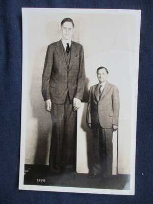 RP Tall Man Robert Wadlow 1930s Postcard Signed