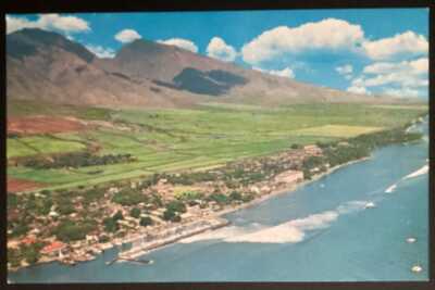 Hawaii Maui Lahaina Postcard Old Vintage Card View Standard Souvenir Postal