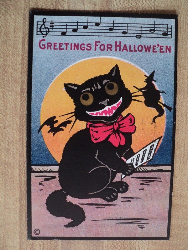 HALLOWEEN Black Cat Singing for Witch & Bat vintage TR Co H M Rose 1913 Postcard