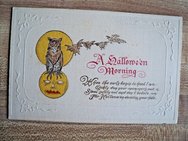 HALLOWEEN Owl on Jack-O-Lantern & Bats vintage Winsch Embossed Postcard