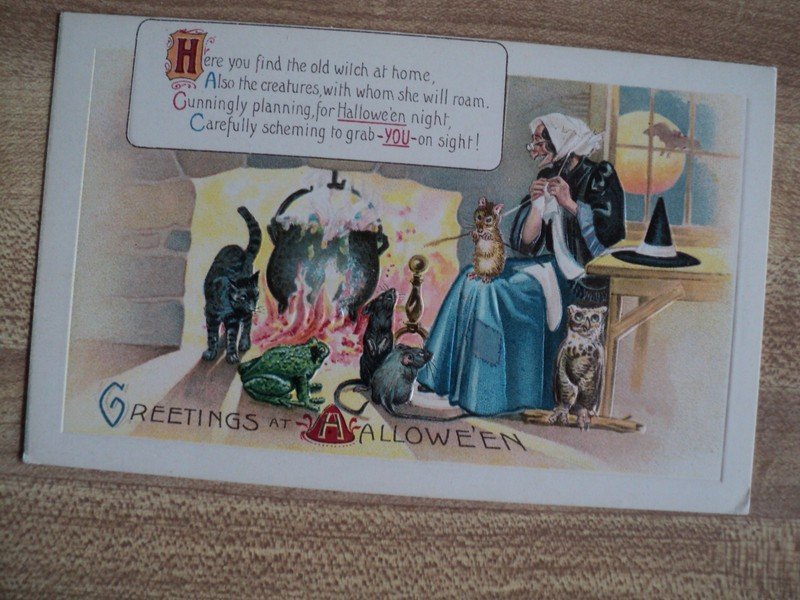 Rare HALLOWEEN Witch w/ Toad Rats Owl & Black Cat vintage unknown maker Postcard