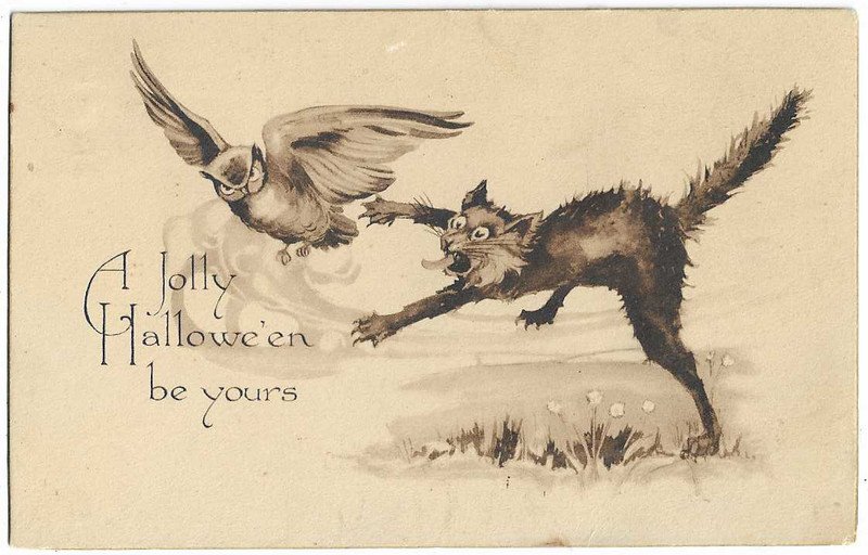 Gibson Art Co. Halloween Postcard Cat Chasing Owl